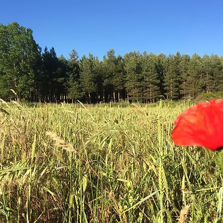 Affittacamere La Mesta